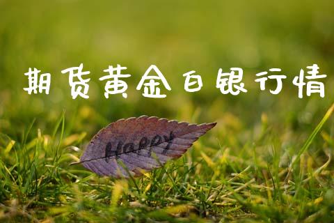 期货黄金白银行情_https://www.lansai.wang_期货资讯_第1张