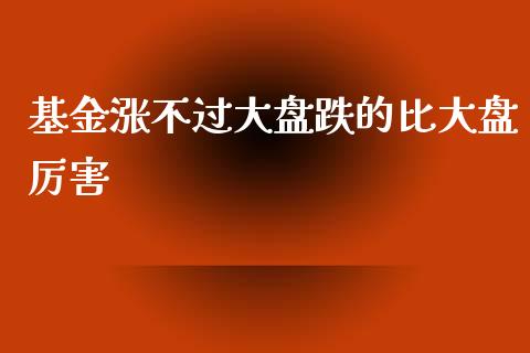 基金涨不过大盘跌的比大盘厉害_https://www.lansai.wang_基金理财_第1张