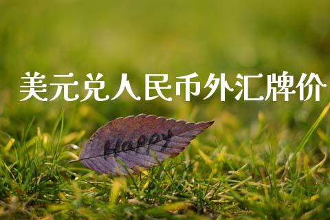 美元兑人民币外汇牌价_https://www.lansai.wang_期货行情_第1张