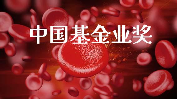 中国基金业奖_https://www.lansai.wang_未分类_第1张