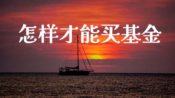 怎样才能买基金_https://www.lansai.wang_基金理财_第1张