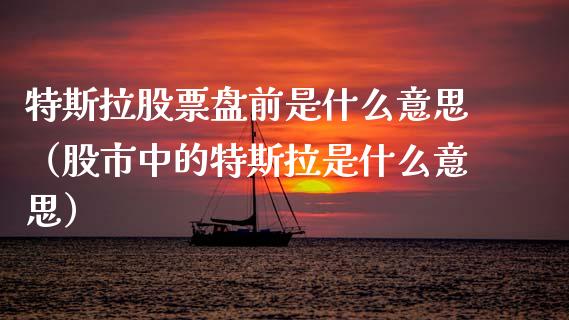 特斯拉股票盘前是什么意思（股市中的特斯拉是什么意思）_https://www.lansai.wang_股票知识_第1张