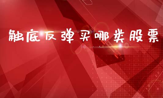 触底反弹买哪类股票_https://www.lansai.wang_股票知识_第1张