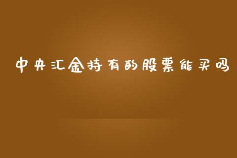 中央汇金持有的股票能买吗_https://www.lansai.wang_期货行情_第1张