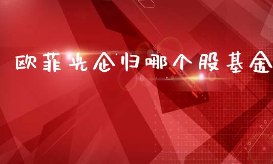 欧菲光企归哪个股基金_https://www.lansai.wang_股票问答_第1张