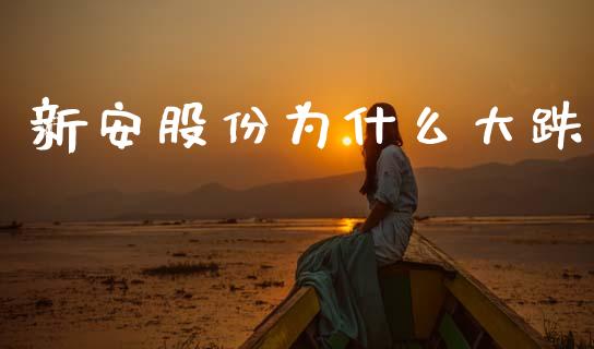 新安股份为什么大跌_https://www.lansai.wang_股票知识_第1张