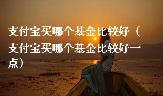 支付宝买哪个基金比较好（支付宝买哪个基金比较好一点）_https://www.lansai.wang_基金理财_第1张