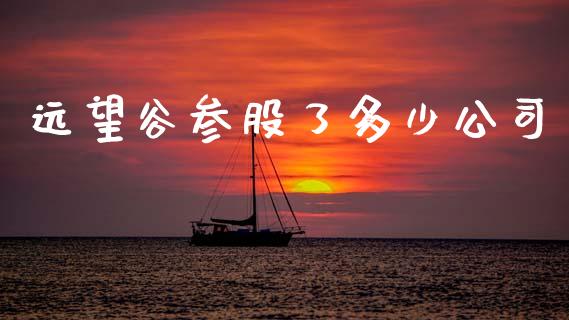 远望谷参股了多少公司_https://www.lansai.wang_股票知识_第1张