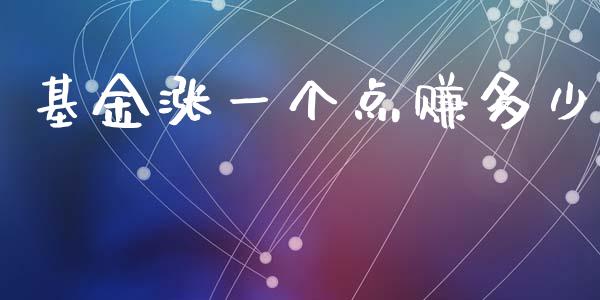 基金涨一个点赚多少_https://www.lansai.wang_未分类_第1张