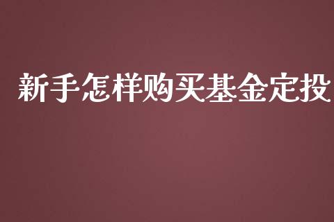 新手怎样购买基金定投_https://www.lansai.wang_基金理财_第1张