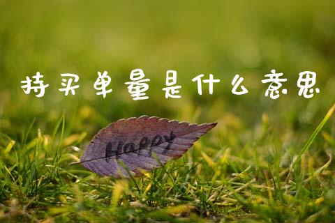 持买单量是什么意思_https://www.lansai.wang_期货行情_第1张