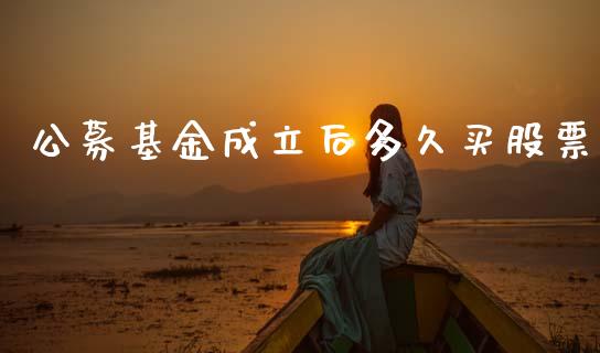 公募基金成立后多久买股票_https://www.lansai.wang_期货行情_第1张