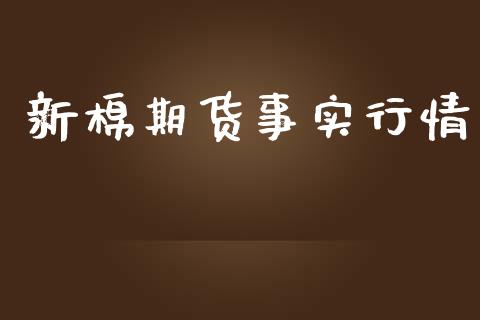 新棉期货事实行情_https://www.lansai.wang_期货学院_第1张