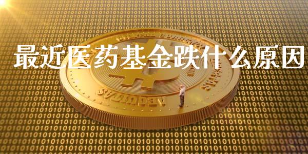 最近医药基金跌什么原因_https://www.lansai.wang_未分类_第1张