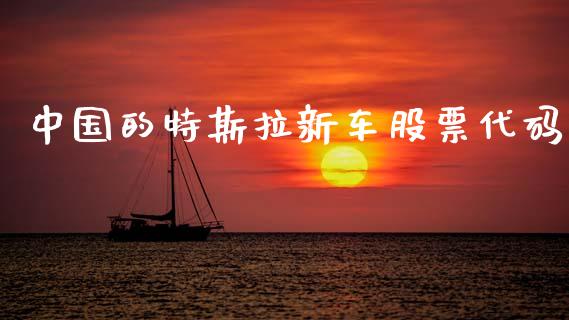 中国的特斯拉新车股票代码_https://www.lansai.wang_期货资讯_第1张