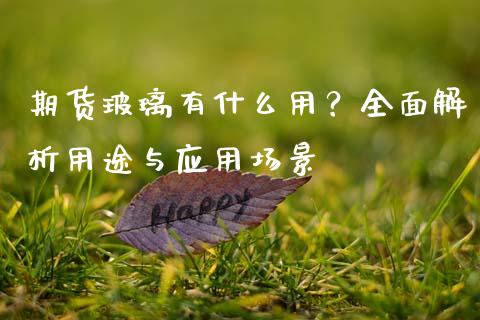 期货玻璃有什么用？全面解析用途与应用场景_https://www.lansai.wang_期货直播_第1张