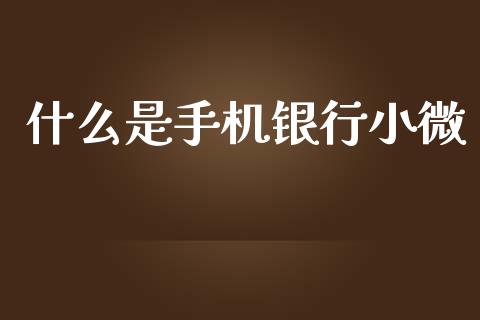 什么是手机银行小微_https://www.lansai.wang_股指期货_第1张