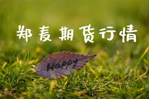 郑麦期货行情_https://www.lansai.wang_期货行情_第1张