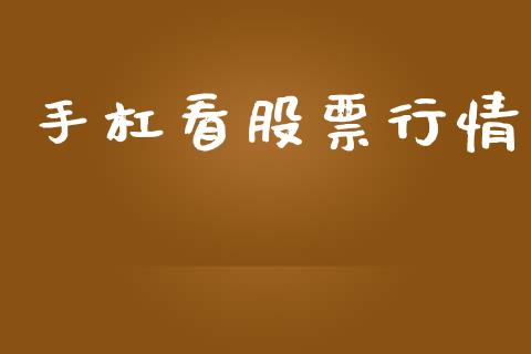 手杠看股票行情_https://www.lansai.wang_股票知识_第1张