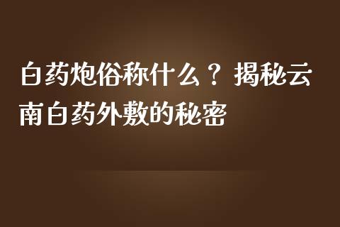 白药炮俗称什么？ 揭秘云南白药外敷的秘密_https://www.lansai.wang_股指期货_第1张