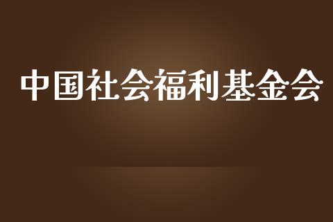 中国社会福利基金会_https://www.lansai.wang_基金理财_第1张