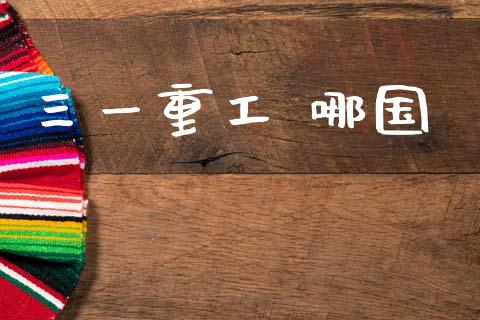 三一重工 哪国_https://www.lansai.wang_股票问答_第1张