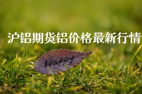 沪铝期货铝价格最新行情_https://www.lansai.wang_未分类_第1张