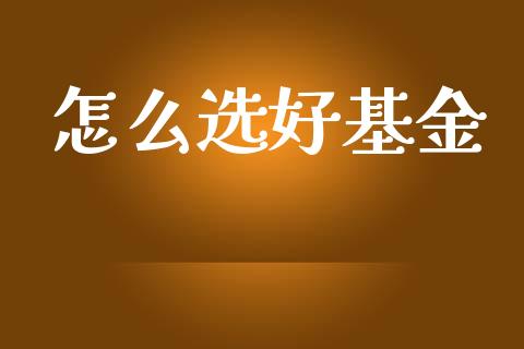 怎么选好基金_https://www.lansai.wang_基金理财_第1张