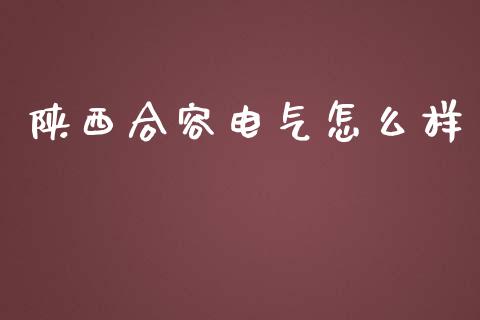 陕西合容电气怎么样_https://www.lansai.wang_股票问答_第1张