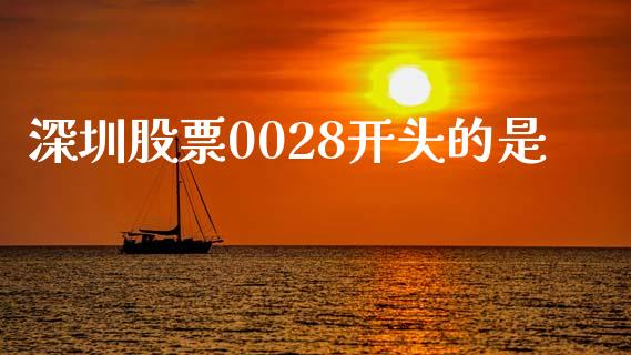 深圳股票0028开头的是_https://www.lansai.wang_期货行情_第1张