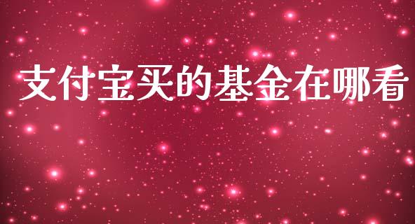 支付宝买的基金在哪看_https://www.lansai.wang_理财百科_第1张