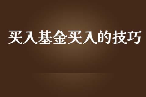 买入基金买入的技巧_https://www.lansai.wang_基金理财_第1张