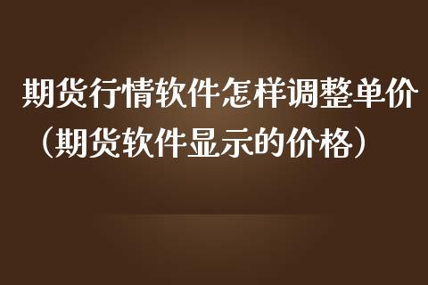 期货行情软件怎样调整单价（期货软件显示的价格）_https://www.lansai.wang_期货资讯_第1张