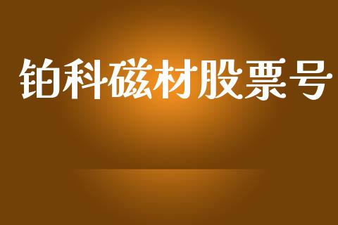 铂科磁材股票号_https://www.lansai.wang_期货行情_第1张