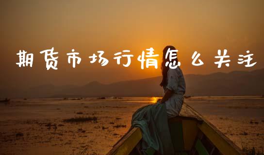 期货市场行情怎么关注_https://www.lansai.wang_股指期货_第1张
