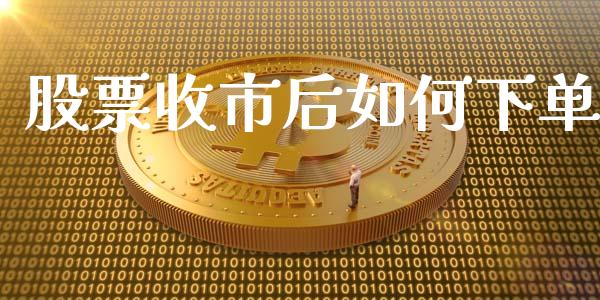 股票收市后如何下单_https://www.lansai.wang_期货行情_第1张