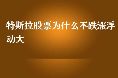 特斯拉股票为什么不跌涨浮动大_https://www.lansai.wang_股票问答_第1张