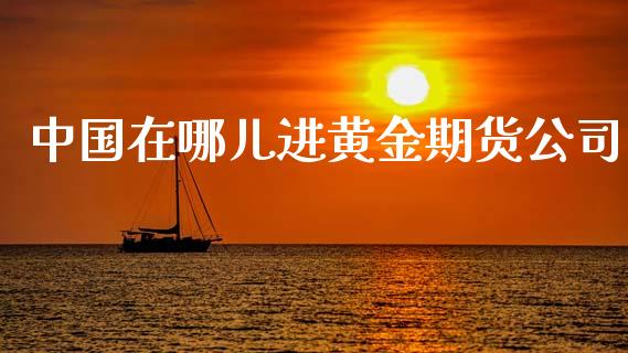 中国在哪儿进黄金期货公司_https://www.lansai.wang_期货行情_第1张