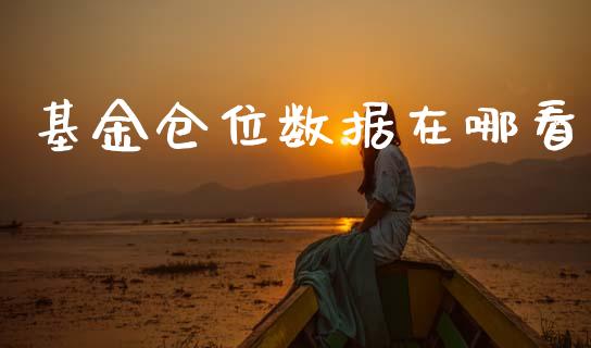 基金仓位数据在哪看_https://www.lansai.wang_基金理财_第1张