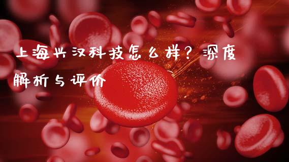 上海兴汉科技怎么样？深度解析与评价_https://www.lansai.wang_期货直播_第1张