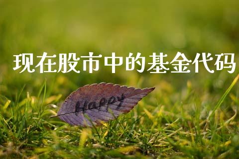 现在股市中的基金代码_https://www.lansai.wang_基金理财_第1张