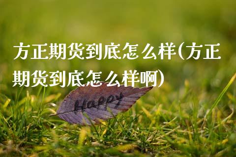 方正期货到底怎么样(方正期货到底怎么样啊)_https://www.lansai.wang_期货行情_第1张
