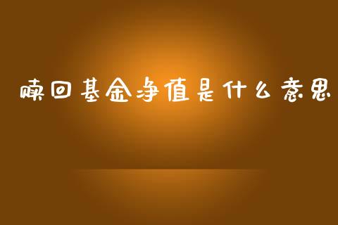赎回基金净值是什么意思_https://www.lansai.wang_基金理财_第1张