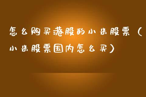 怎么购买港股的小米股票（小米股票国内怎么买）_https://www.lansai.wang_股票问答_第1张