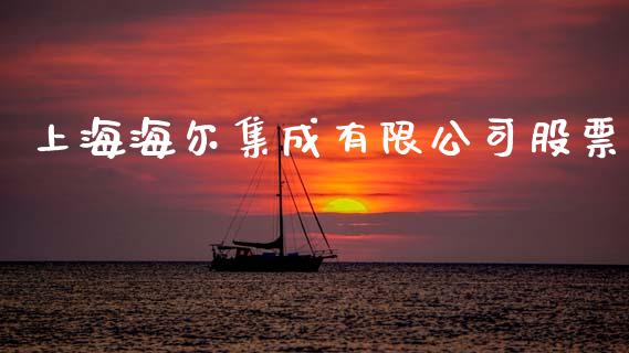 上海海尔集成有限公司股票_https://www.lansai.wang_基金理财_第1张
