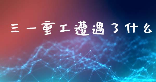 三一重工遭遇了什么_https://www.lansai.wang_股票知识_第1张