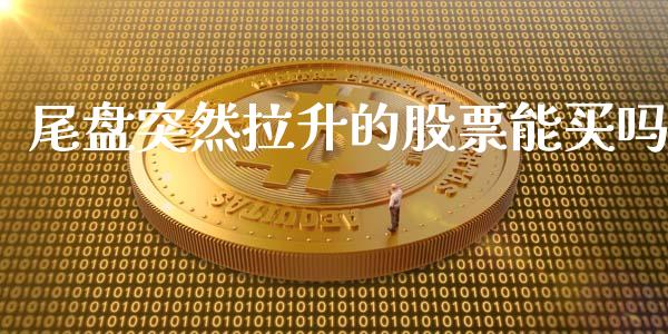 尾盘突然拉升的股票能买吗_https://www.lansai.wang_期货行情_第1张