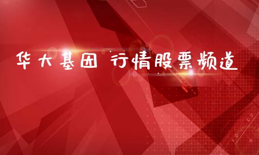 华大基因 行情股票频道_https://www.lansai.wang_期货资讯_第1张