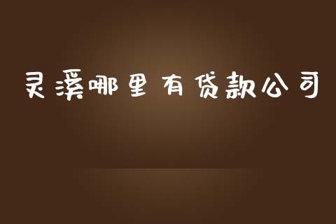 灵溪哪里有贷款公司_https://www.lansai.wang_股票问答_第1张