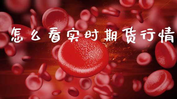 怎么看实时期货行情_https://www.lansai.wang_未分类_第1张